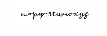 Salomon Signature Font LOWERCASE