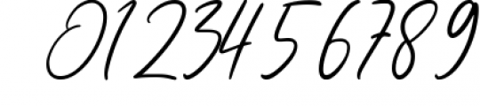 Sailendra - Stylish Signature Font Font OTHER CHARS