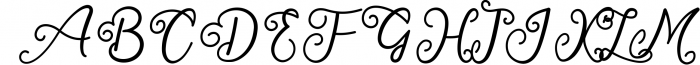 Salahe - a funcy cursive font 1 Font UPPERCASE