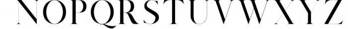 Salvalyn - Stylistic Serif Font Font LOWERCASE