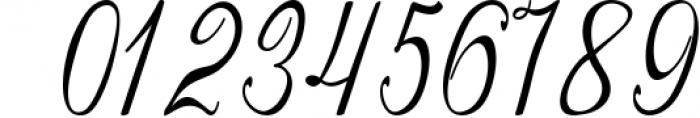 Santhia script Font OTHER CHARS
