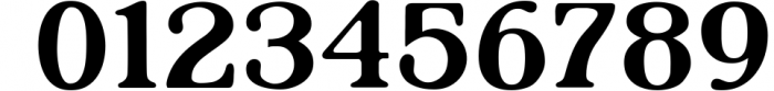 Sapientia - Serif Font Family - OTF, TTF 5 Font OTHER CHARS