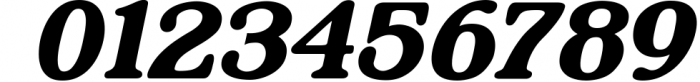 Sapientia - Serif Font Family - OTF, TTF 7 Font OTHER CHARS