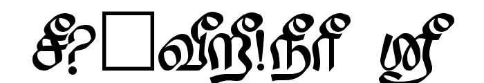 Saavaeri Regular Font OTHER CHARS