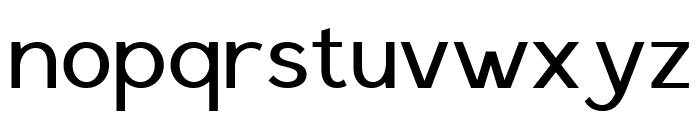 SalunaDEMO Regular Font LOWERCASE