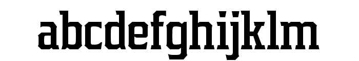 Samton Condensed Bold Font LOWERCASE