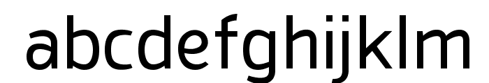 SanFrediano Font LOWERCASE