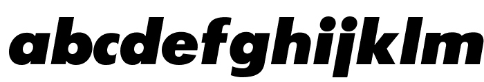 SansSerifExbFLF-Italic Font LOWERCASE