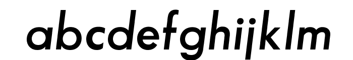 SansSerifFLF-DemiItalic Font LOWERCASE