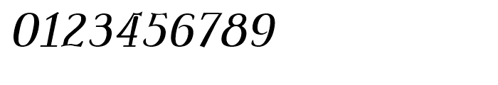 Saltzburg Bold Italic Font OTHER CHARS