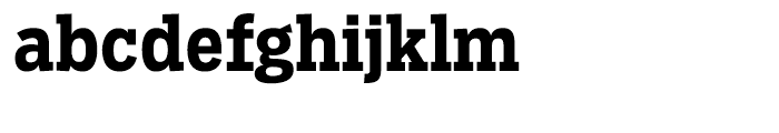 Salvo Serif Condensed Bold Font LOWERCASE