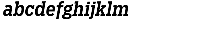 Salvo Serif Condensed Medium Italic Font LOWERCASE