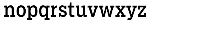 Salvo Serif Condensed Regular Font LOWERCASE