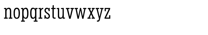 Salvo Serif Extra Condensed Light Font LOWERCASE