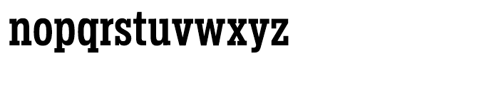 Salvo Serif Extra Condensed Medium Font LOWERCASE