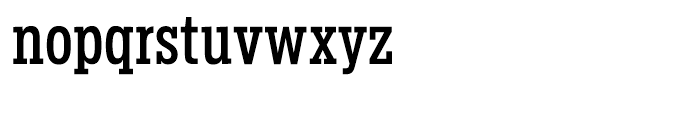 Salvo Serif Extra Condensed Regular Font LOWERCASE