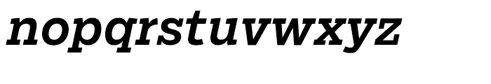 Salvo Serif Medium Italic Font LOWERCASE