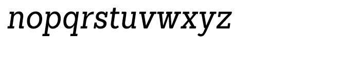 Sanchez Condensed Italic Font LOWERCASE