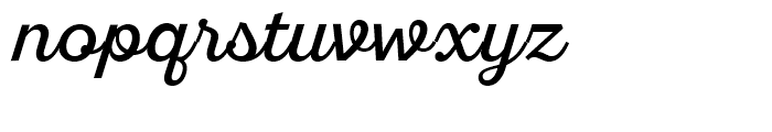 SantElia Script Regular Font LOWERCASE