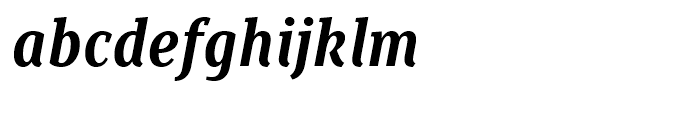 Saya Serif FY Bold Italic Font LOWERCASE