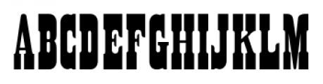 Sagebrush JNL Regular Font LOWERCASE