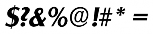 Salzburg Serial Bold Italic Font OTHER CHARS