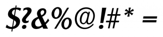 Salzburg Serial Medium Italic Font OTHER CHARS