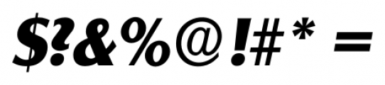 Salzburg Serial Xbold Italic Font OTHER CHARS