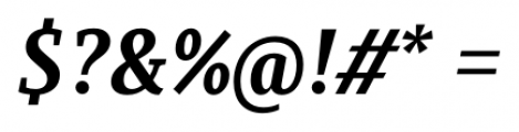 Saya Serif FY Bold Italic Font OTHER CHARS