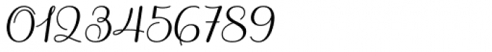 Sabores Script Regular Italic Font OTHER CHARS