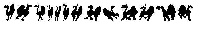 Sahara magic FONT