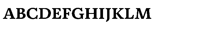 Sakkal Saad Medium Font UPPERCASE