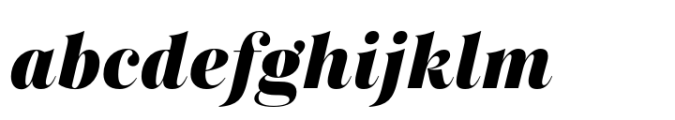 Salina Swashes Black Italic FONT