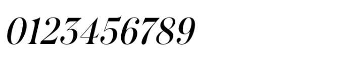 Salina Swashes Regular Italic Font OTHER CHARS