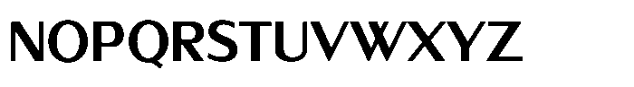 Sallona Pro Variable Sallona Pro Bold Font UPPERCASE