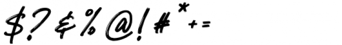 Salomonstera Regular Font OTHER CHARS
