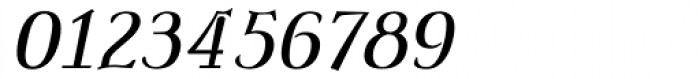 Saltzburg Bold Italic Font OTHER CHARS