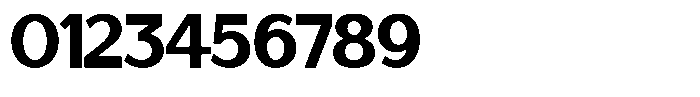 Saluna Black Font OTHER CHARS