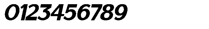 Saluna Italic Black Font OTHER CHARS