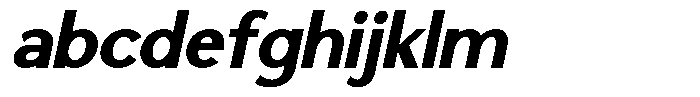Saluna Italic Black FONT