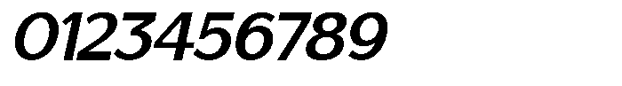 Saluna Italic Bold Font OTHER CHARS