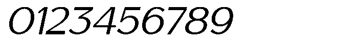 Saluna Italic Light Font OTHER CHARS