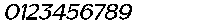 Saluna Italic Medium Font OTHER CHARS