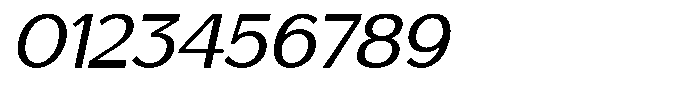 Saluna Italic Regular Font OTHER CHARS