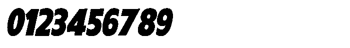 Sansible SW Italic Font OTHER CHARS