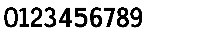 Sanstionale Bold Font OTHER CHARS