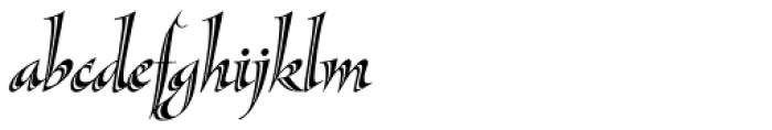 Sassafras Lx Italic Font LOWERCASE