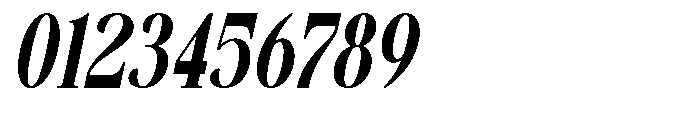 Savera Editorial Black Italic Font OTHER CHARS