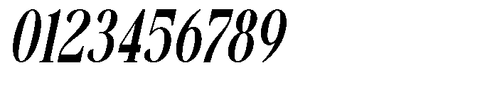 Savera Editorial Bold Italic Font OTHER CHARS