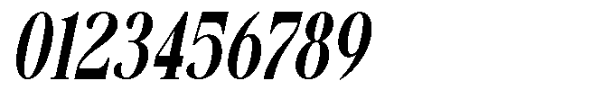 Savera Editorial Extra Bold Italic Font OTHER CHARS